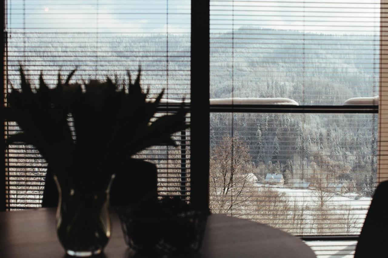 Apartamenty 'Okno Z Widokiem' Wisła Exterior foto